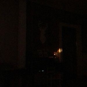 Meet your Posher, Shawn